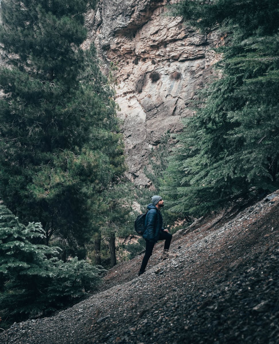 A man hikes on a rocky mountain trail surrounded by tall trees, showcasing adventure and exploration.